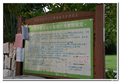 單身的人兒啊，請你看過來——蓮花山婚介角一瞥